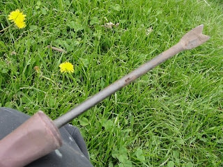 dandelion remover tool in hand