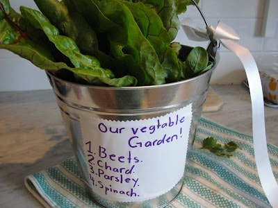 teacher gift of veggies from garden in metal bucket