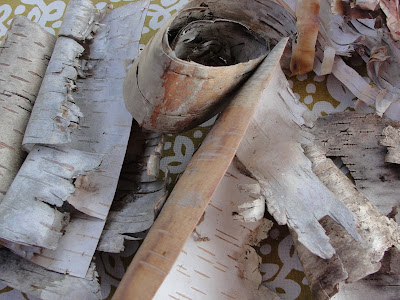 pile of birch bark on table