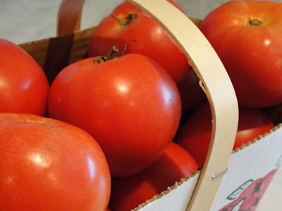 basket of tomatoes