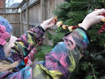 child hanging fruit garland on tree for birds to eat