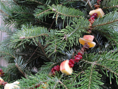 close up of cranberry and apple garland in fir tree