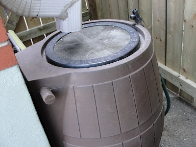 rain barrel