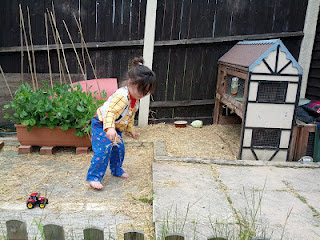 kids playing farm outside