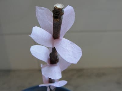 child made cherry blossom