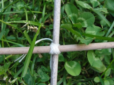 twine wrapped bamboo stakes