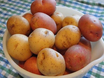 bowl of small red and white potatoes