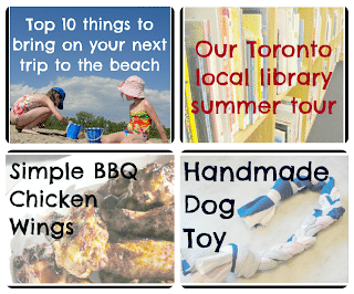 dog toy, chicken wings, beach, libraries