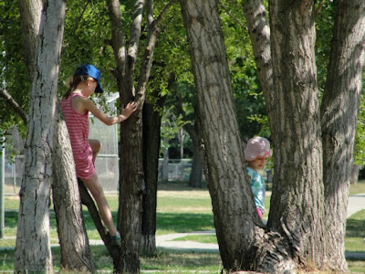 climb a tree