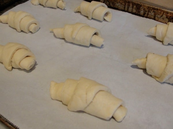 rolls on baking sheet