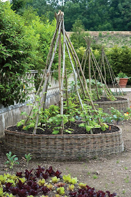 veggie garden trellis