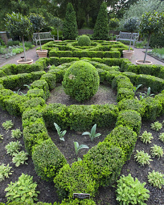 herb garden