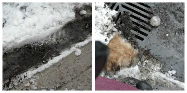 catch basin covered in snow