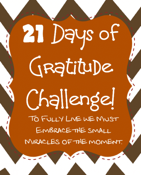 21 days of gratitude challenge 2013