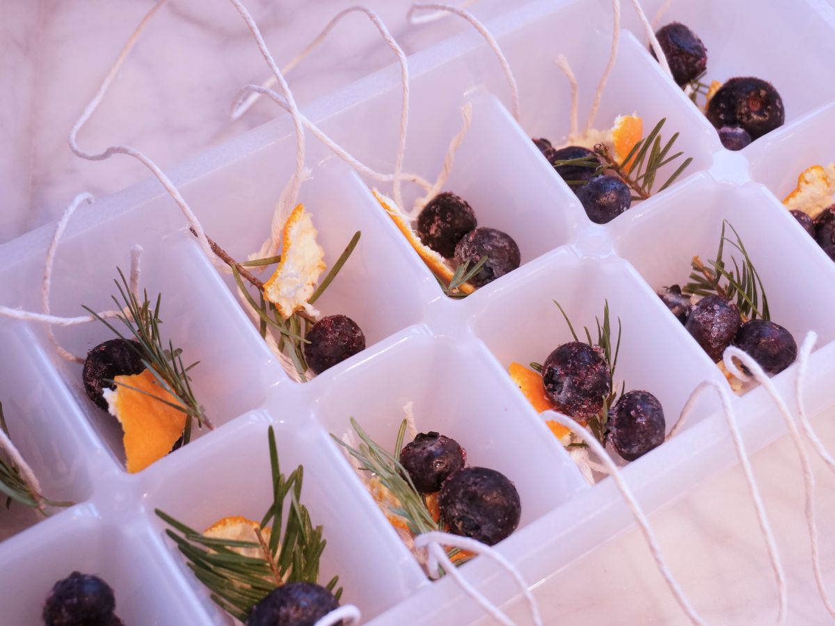 blueberries and orange peel in ice cube tray with string loops to make ice ornaments