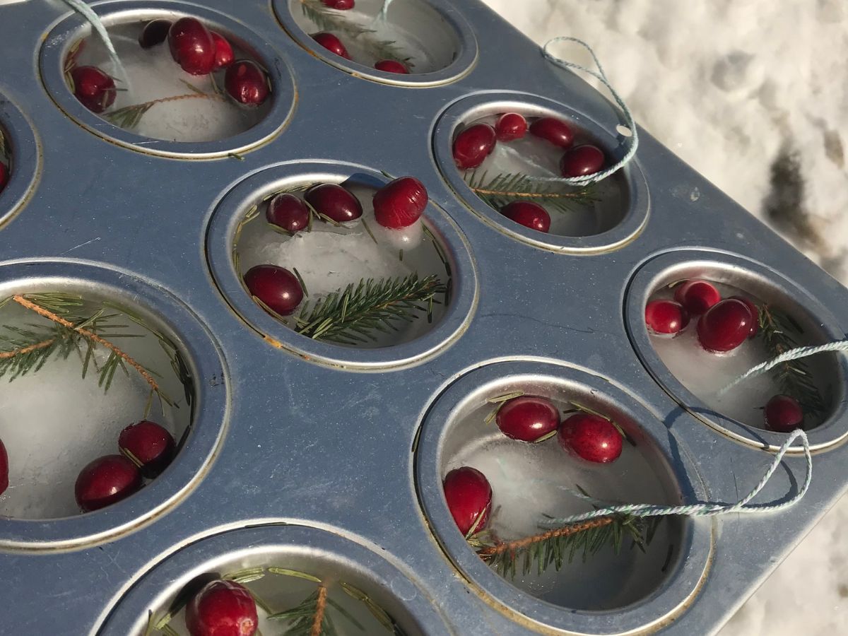 close up of how to make ice ornaments in a muffin tin