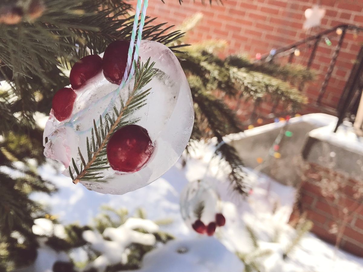 close up of small circular ice ornament hanging in snowy tree