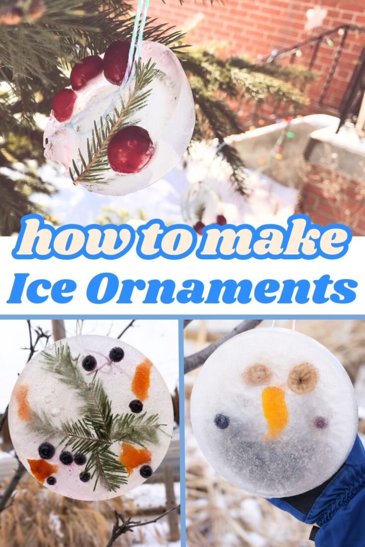 how to make ice ornaments title with ice ornaments hanging from trees