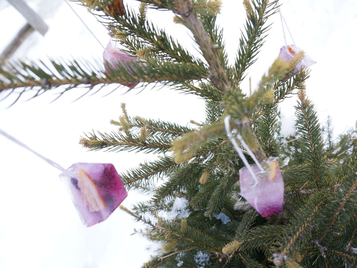 ice cube ice ornaments hanging from a tree in a snowy yard