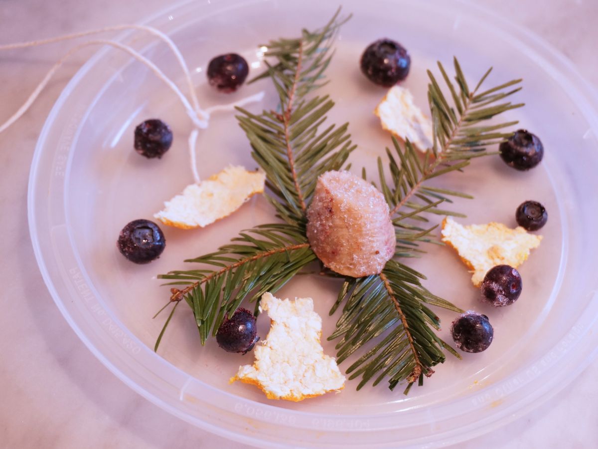 round plastic lid with frozen blueberries, pine needles, orange peels and frozen banana placed inside to make ice ornaments