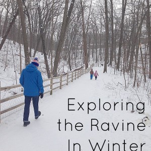 exploring the ravine & winter and summer .jpg