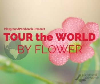 tour the world by flower