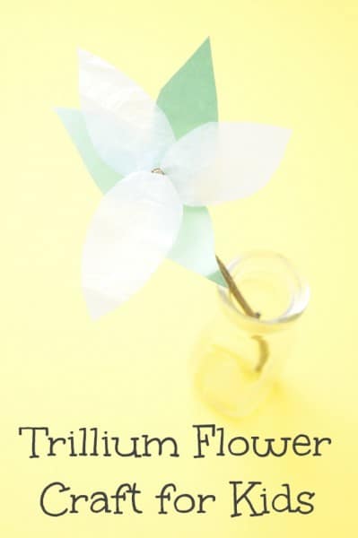 trillium flower craft for kids