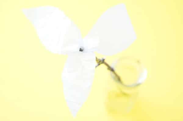 trillium flower petals