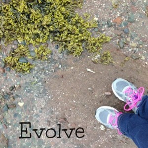 evolve water