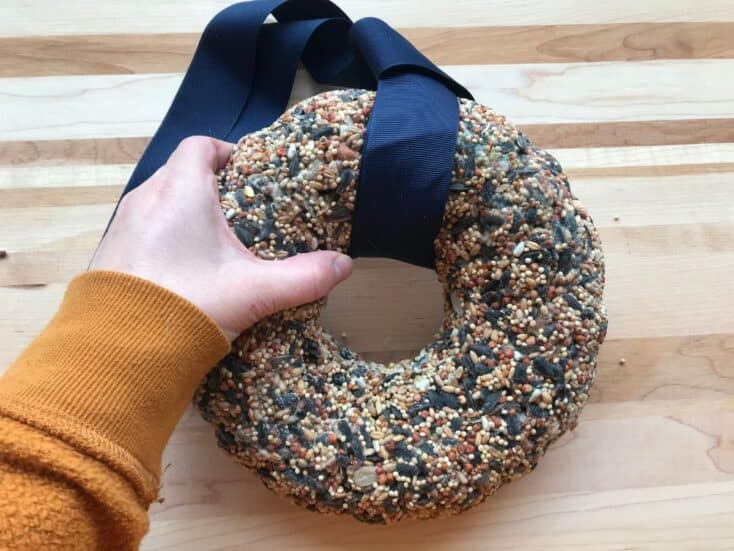 hand holding a diy birdseed wreath on a wooden tabletop