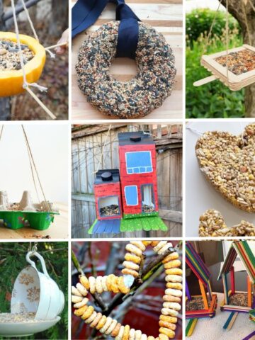 new featured image for easy DIY bird feeders to make with kids collage