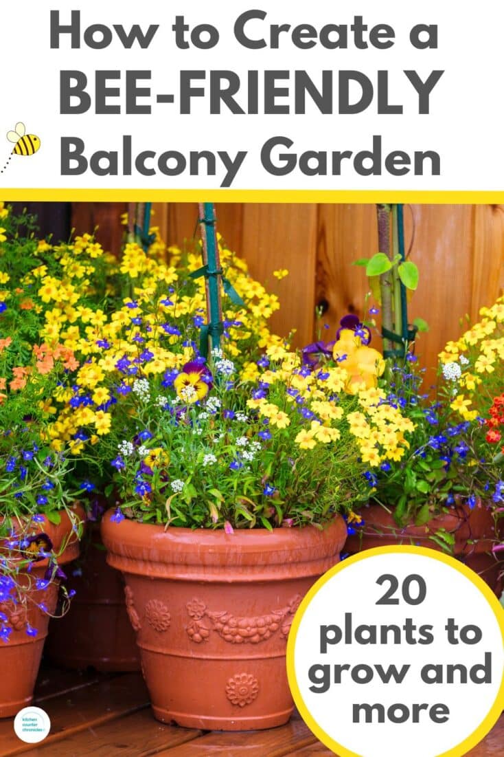 title "how to create a bee friendly balcony garden" with image of containers of bright yellow and purple flowers