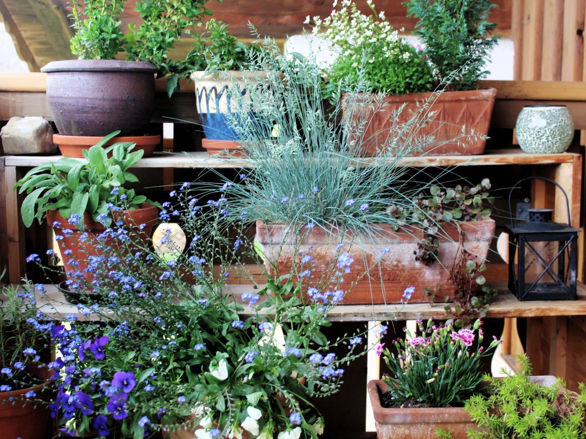 assorted containers of flowers on a balcony