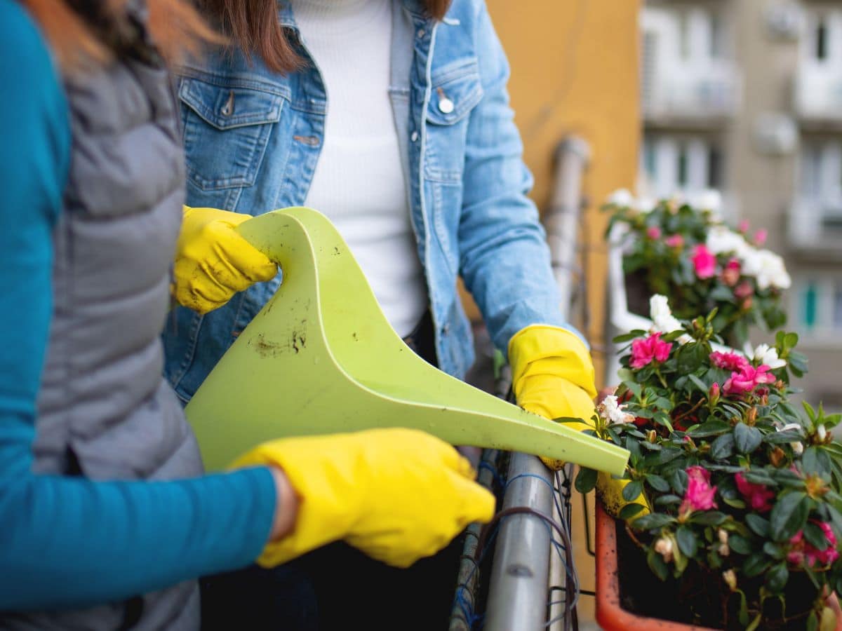 2 people watering their bee friendly balcony garden